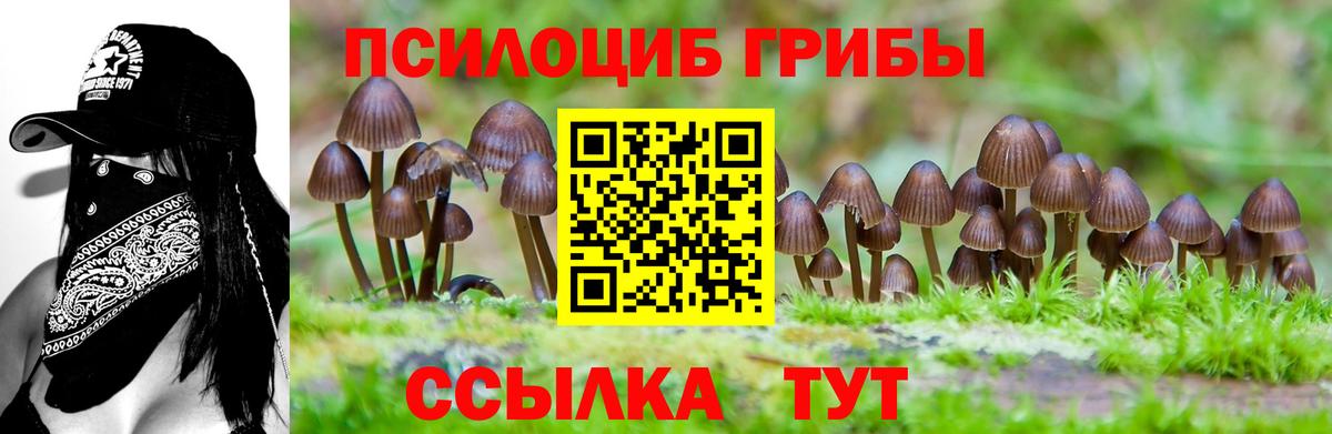Галлюциногенные грибы Psilocybe  Галлюциногенные грибы MAGIC MUSHROOMS  Вход с VPN  Первоуральск 
